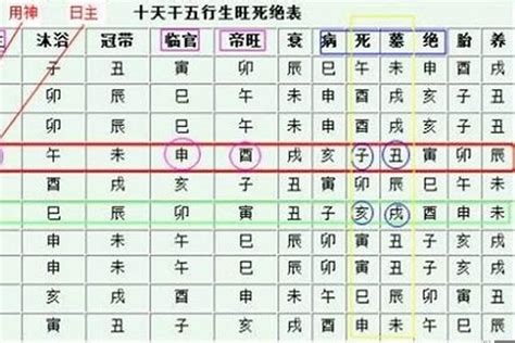 身旺身弱|八字「身強」與「身旺」的細緻區分